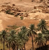  Zaujalo nás. Cenové regulácie zlyhávajú už 4000 rokov, no ľudia sa stále nepoučili